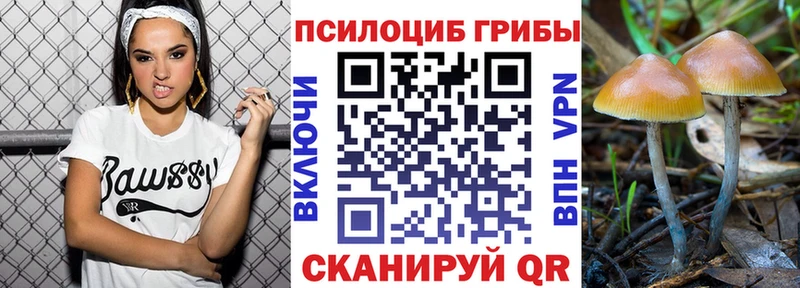 даркнет как зайти  где найти наркотики  Алексеевка  Псилоцибиновые грибы Cubensis 